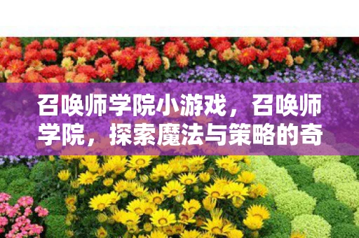 召唤师学院小游戏，召唤师学院，探索魔法与策略的奇妙之旅