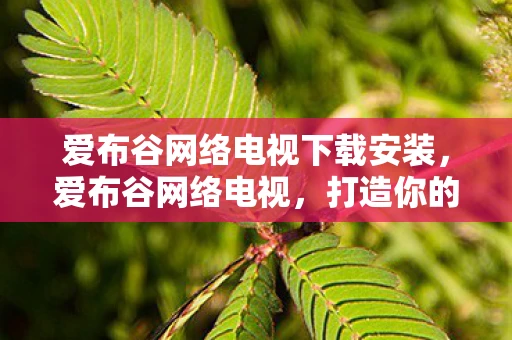 爱布谷网络电视下载安装,爱布谷网络电视,打造你的专属娱乐平台 爱布谷网络电视下载安装,爱布谷网络电视,打造你的专属娱乐平台