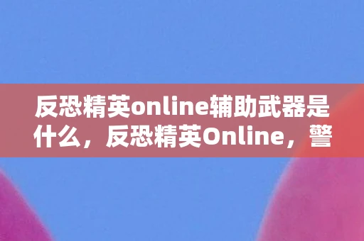 反恐精英online辅助武器是什么，反恐精英Online，警惕辅助工具的诱惑与风险