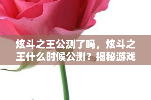 炫斗之王公测了吗，炫斗之王什么时候公测？揭秘游戏上线时间表