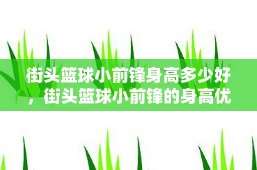 街头篮球小前锋身高多少好，街头篮球小前锋的身高优势与策略