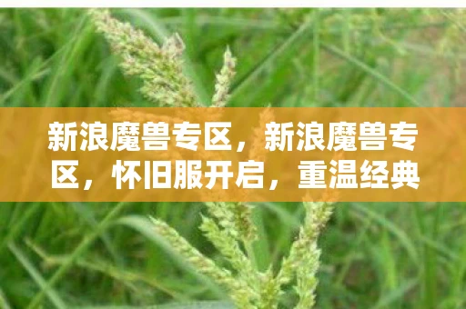 新浪魔兽专区，新浪魔兽专区，怀旧服开启，重温经典，再燃激情