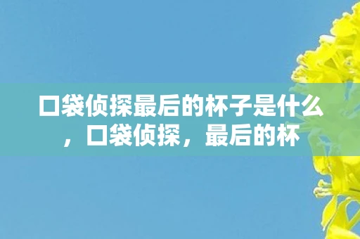 口袋侦探最后的杯子是什么，口袋侦探，最后的杯