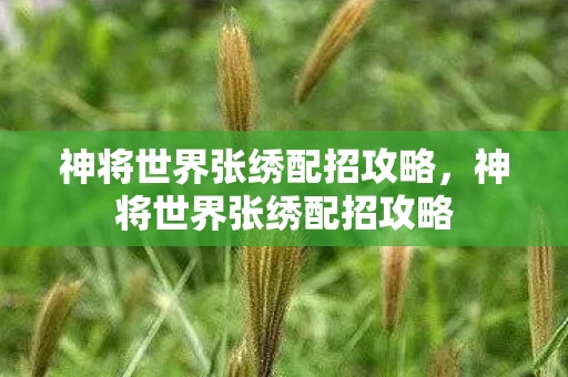 神将世界张绣配招攻略，神将世界张绣配招攻略