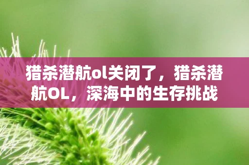 猎杀潜航ol关闭了，猎杀潜航OL，深海中的生存挑战