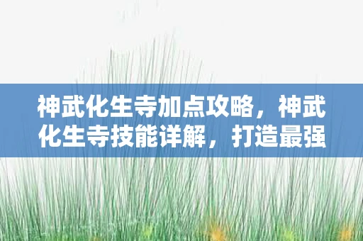 神武化生寺加点攻略，神武化生寺技能详解，打造最强辅助的必备攻略