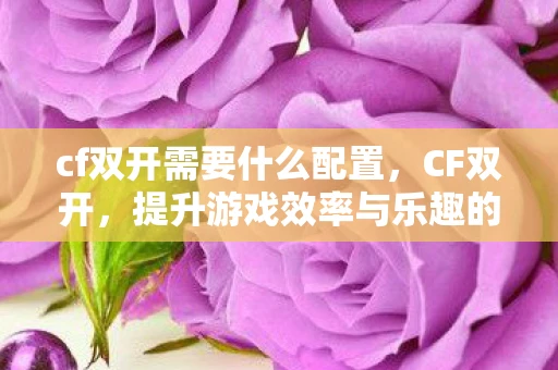 cf双开需要什么配置，CF双开，提升游戏效率与乐趣的实用技巧