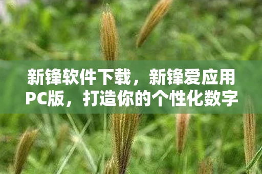 新锋软件下载,新锋爱应用PC版,打造你的个性化数字生活 新锋软件下载,新锋爱应用PC版,打造你的个性化数字生活