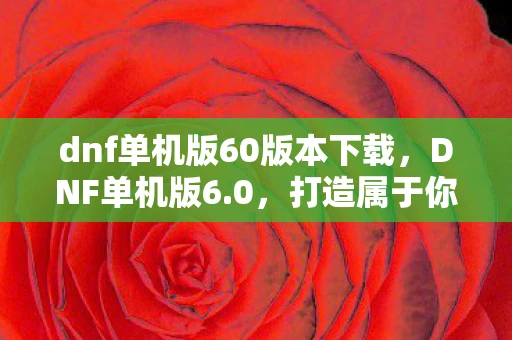 dnf单机版60版本下载，DNF单机版6.0，打造属于你的专属冒险世界