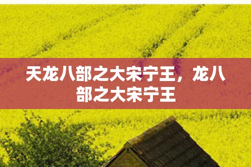 天龙八部之大宋宁王，龙八部之大宋宁王