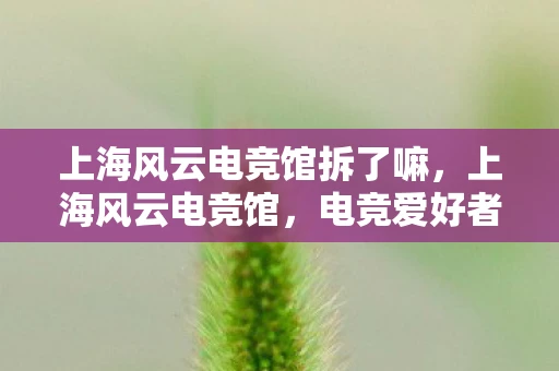 上海风云电竞馆拆了嘛，上海风云电竞馆，电竞爱好者的圣地