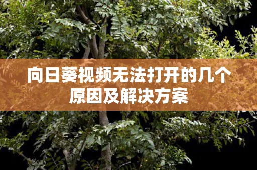 向日葵视频无法打开的几个原因及解决方案图片