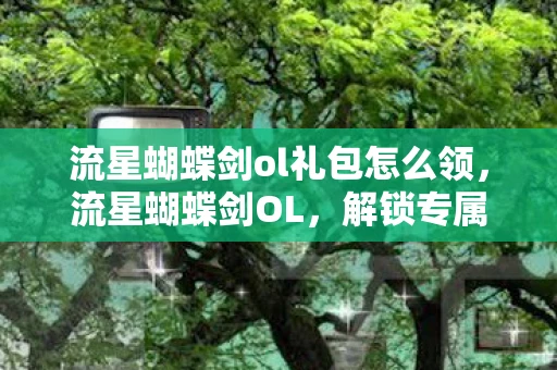 流星蝴蝶剑ol礼包怎么领，流星蝴蝶剑OL，解锁专属礼包，打造你的江湖传奇