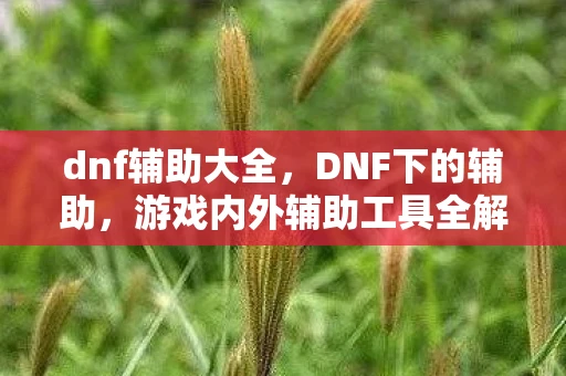dnf辅助大全，DNF下的辅助，游戏内外辅助工具全解析