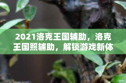 2021洛克王国辅助，洛克王国照辅助，解锁游戏新体验