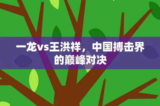 一龙vs王洪祥，中国搏击界的巅峰对决