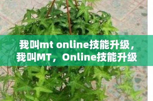 我叫mt online技能升级，我叫MT，Online技能升级全解析