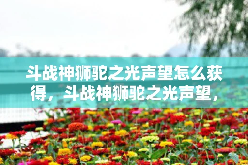 斗战神狮驼之光声望怎么获得，斗战神狮驼之光声望，荣耀与梦想的交织