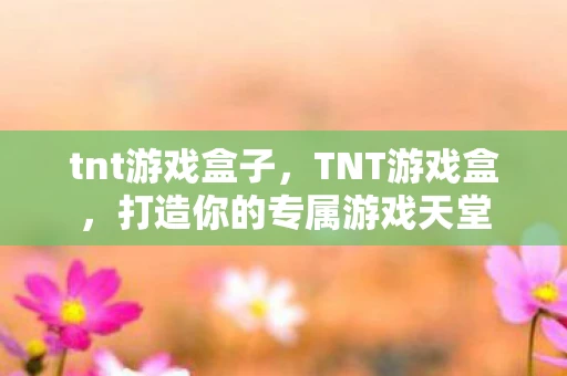 tnt游戏盒子,TNT游戏盒,打造你的专属游戏天堂 tnt游戏盒子,TNT游戏盒,打造你的专属游戏天堂