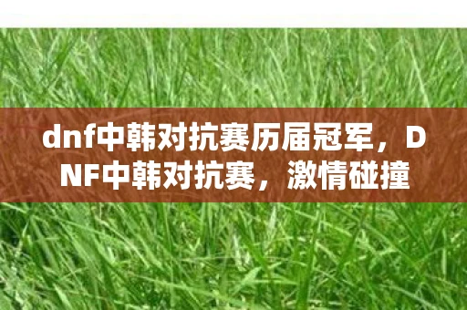dnf中韩对抗赛历届冠军，DNF中韩对抗赛，激情碰撞，谁将问鼎荣耀？
