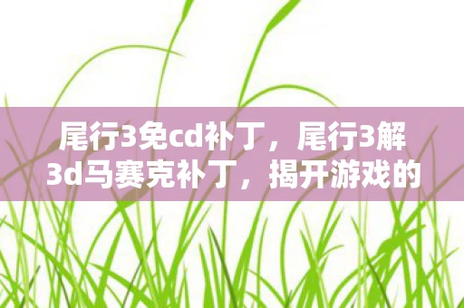 尾行3免cd补丁，尾行3解3d马赛克补丁，揭开游戏的神秘面纱