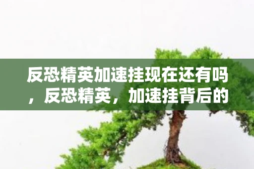 反恐精英加速挂现在还有吗，反恐精英，加速挂背后的真相与应对