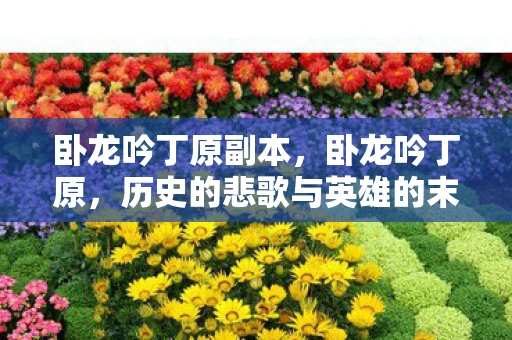 卧龙吟丁原副本，卧龙吟丁原，历史的悲歌与英雄的末路