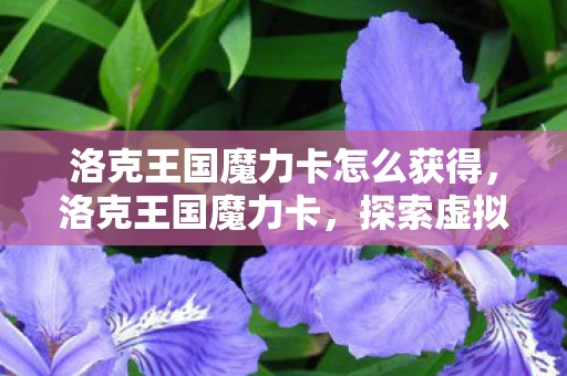 洛克王国魔力卡怎么获得,洛克王国魔力卡,探索虚拟世界的奇幻之旅 洛克王国魔力卡怎么获得,洛克王国魔力卡,探索虚拟世界的奇幻之旅