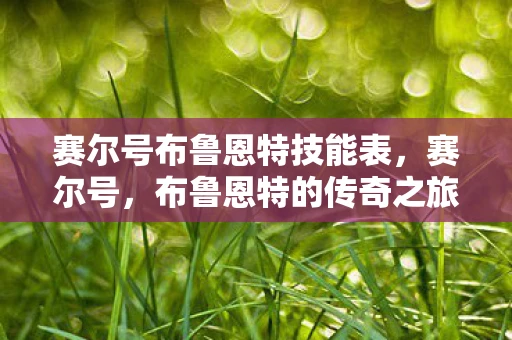赛尔号布鲁恩特技能表，赛尔号，布鲁恩特的传奇之旅