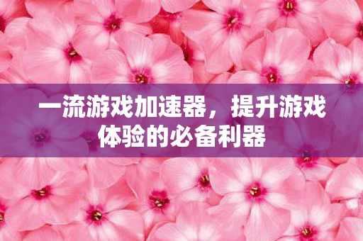 一流游戏加速器，提升游戏体验的必备利器