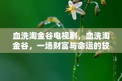 血洗淘金谷电视剧，血洗淘金谷，一场财富与命运的较量