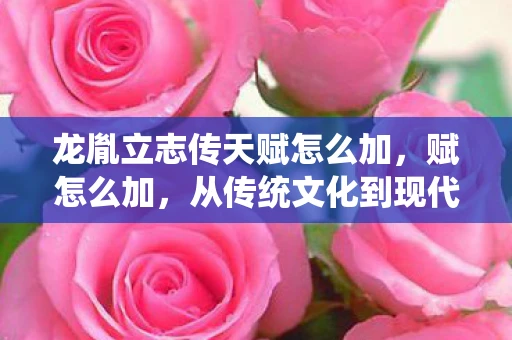 龙胤立志传天赋怎么加，赋怎么加，从传统文化到现代生活的艺术