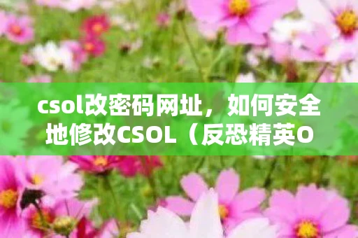 csol改密码网址,如何安全地修改CSOL(反恐精英Online)密码 csol改密码网址,如何安全地修改CSOL(反恐精英Online)密码