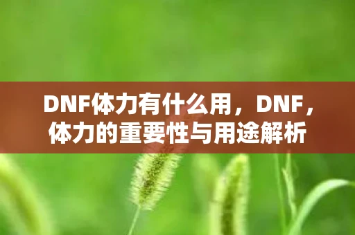 DNF体力有什么用,DNF,体力的重要性与用途解析 DNF体力有什么用,DNF,体力的重要性与用途解析