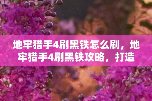 地牢猎手4刷黑铁怎么刷,地牢猎手4刷黑铁攻略,打造无敌装备,征服地牢深处! 地牢猎手4刷黑铁怎么刷,地牢猎手4刷黑铁攻略,打造无敌装备,征服地牢深处!