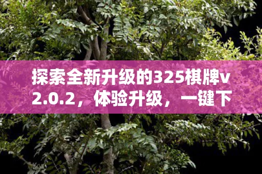 探索全新升级的325棋牌v2图片