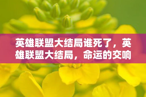 英雄联盟大结局谁死了,英雄联盟大结局,命运的交响,英雄的黎明 英雄联盟大结局谁死了,英雄联盟大结局,命运的交响,英雄的黎明