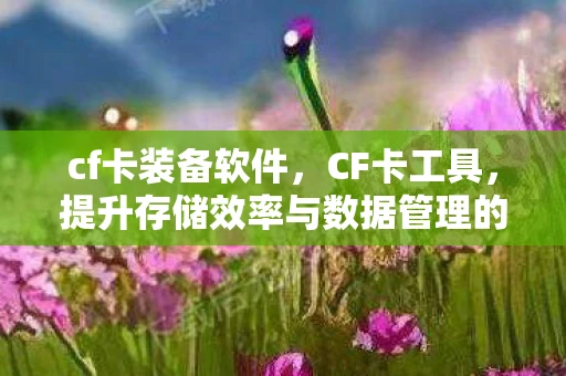 cf卡装备软件，CF卡工具，提升存储效率与数据管理的必备利器