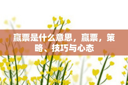 赢票是什么意思,赢票,策略、技巧与心态 赢票是什么意思,赢票,策略、技巧与心态
