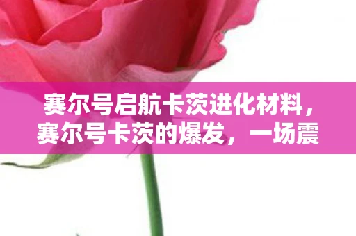 赛尔号启航卡茨进化材料，赛尔号卡茨的爆发，一场震撼全宇宙的战斗