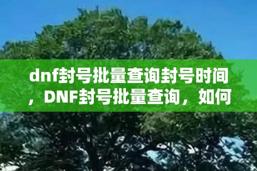 dnf封号批量查询封号时间,DNF封号批量查询,如何安全、有效地查询你的账号状态 dnf封号批量查询封号时间,DNF封号批量查询,如何安全、有效地查询你的账号状态