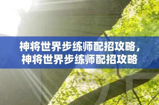 神将世界步练师配招攻略，神将世界步练师配招攻略