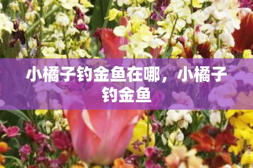 小橘子钓金鱼在哪,小橘子钓金鱼 小橘子钓金鱼在哪,小橘子钓金鱼