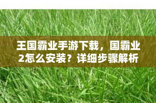 王国霸业手游下载，国霸业2怎么安装？详细步骤解析