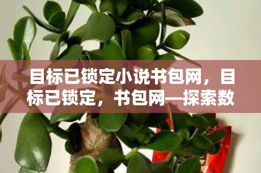 目标已锁定小说书包网，目标已锁定，书包网—探索数字阅读的新领域