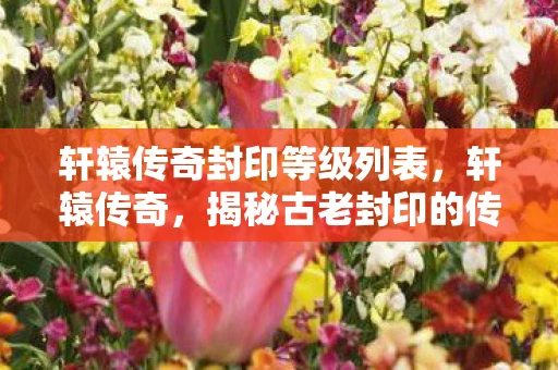 轩辕传奇封印等级列表,轩辕传奇,揭秘古老封印的传奇故事 轩辕传奇封印等级列表,轩辕传奇,揭秘古老封印的传奇故事