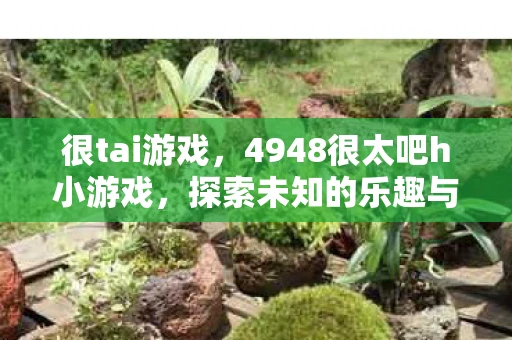 很tai游戏，4948很太吧h小游戏，探索未知的乐趣与风险