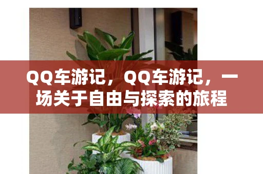 QQ车游记，QQ车游记，一场关于自由与探索的旅程