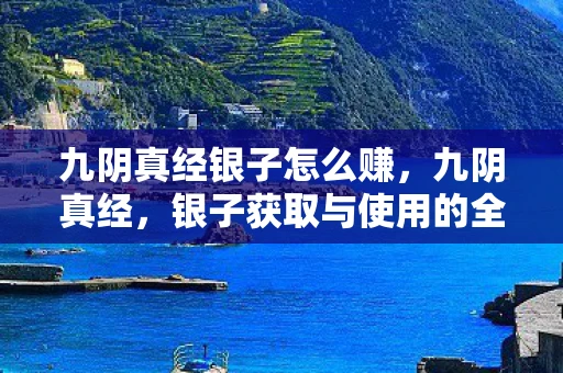 九阴真经银子怎么赚，九阴真经，银子获取与使用的全面解析