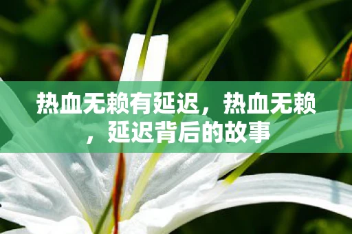 热血无赖有延迟，热血无赖，延迟背后的故事